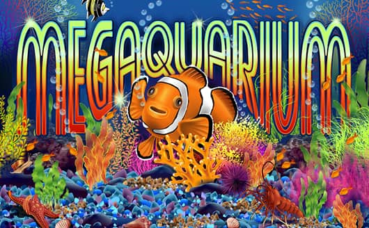 'Megaquarium'